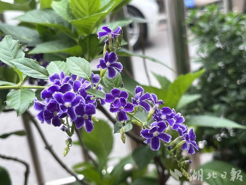 网上斗牛如何挣钱